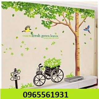 Decal dán tường combo xe hoa và cây xanh