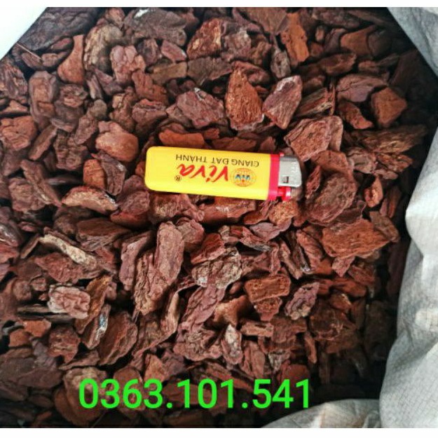 Vỏ Thông Trồng Lan Size 2-3cm Túi 1kg