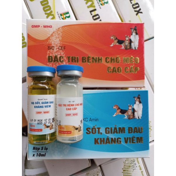 Cặp chó mèo cao cấp Cef Gluco kc ( cặp 2 lọ)