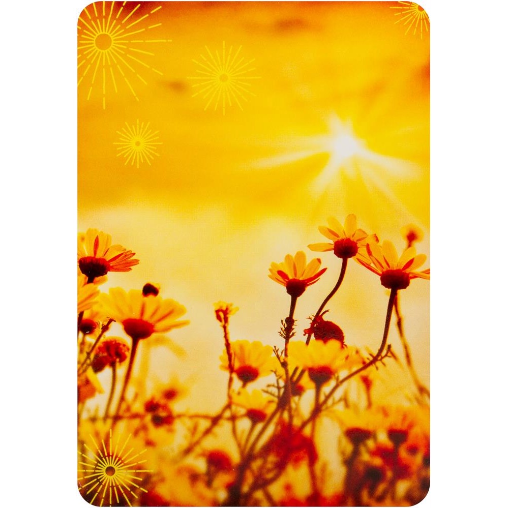 Bộ Bài Notes from the Universe on Abundance Cards (Mystic House Tarot Shop) - Bài Gốc Authentic Chính Hãng 100%