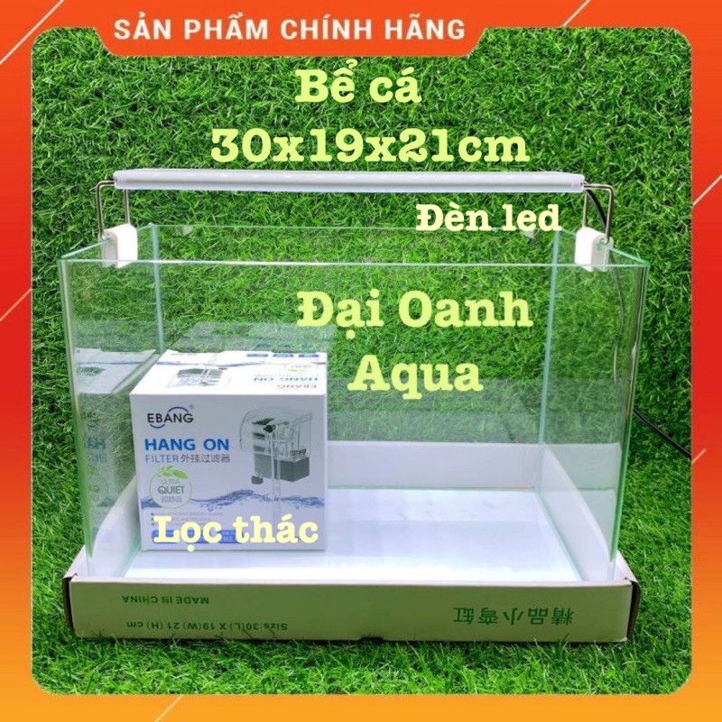 { RẺ VÔ ĐỐI } Bể Cá Kính Đúc 30cm Kèm Đèn Lọc Để Bàn, Dài 30cm Rộng 19cm Cao 21cm - Bể Cá Cảnh Mini