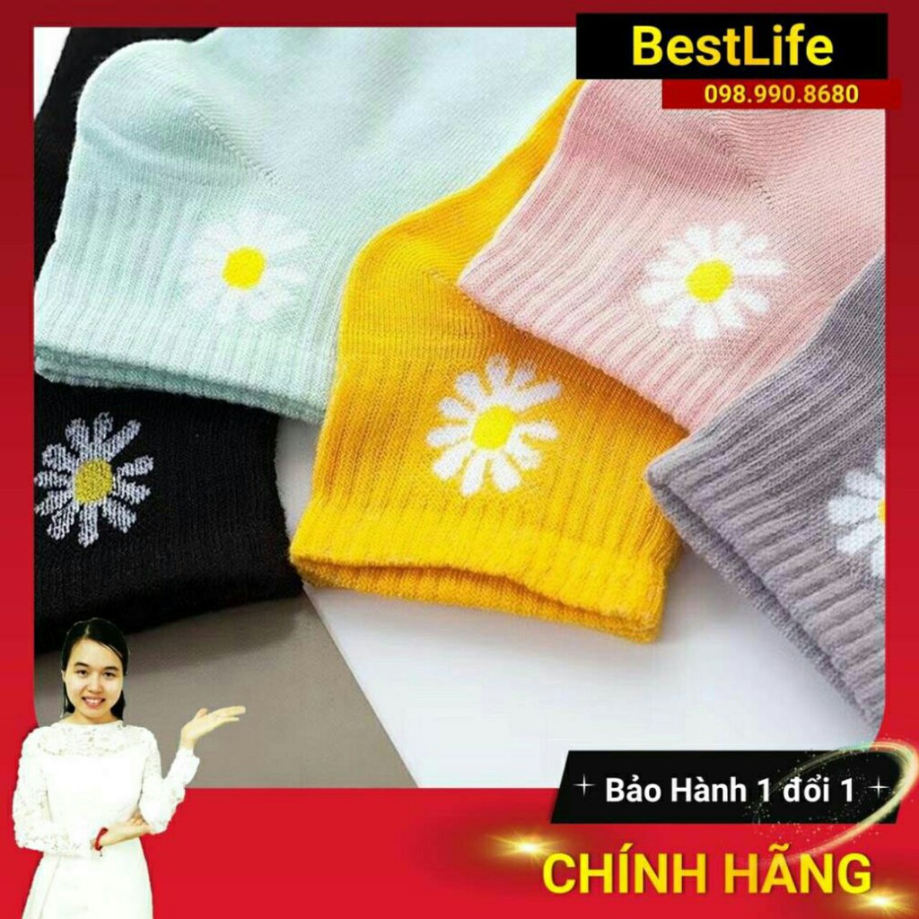 [ Lẻ = Sỉ] Sét 10 đôi tất hoa cúc/cổ gấu hottrend siêu xinh, thoáng khí