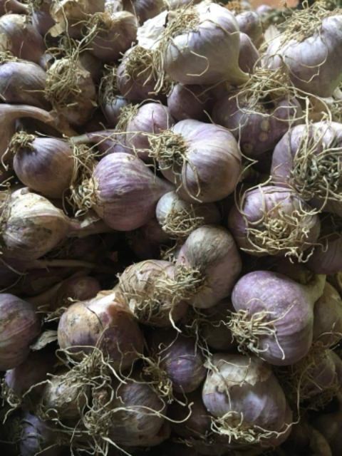 Tỏi tía Nghệ An 300g