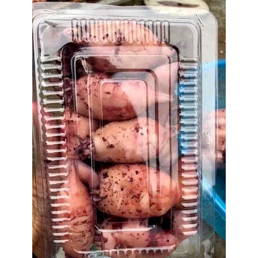 Mực Sim Trứng 1 Nắng hấp sơ khay 500g làm sạch thơm ngon - Ship Hỏa Tốc 1h Hà Nội