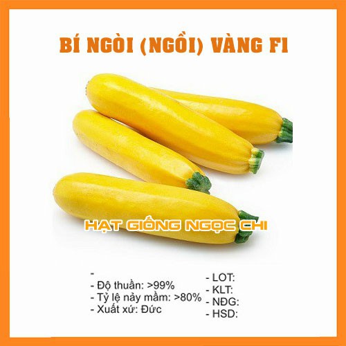 Hạt Giống Bí Ngồi Vàng (Bí Ngòi) F1 - 10 Hạt