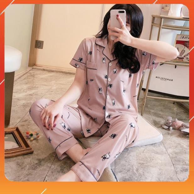 Cập bến Bộ đùi bbr phối kẻ hót hit Chất cotton QC 4c mịn đẹp [Hà Nội] [Free Ship99K] | BigBuy360 - bigbuy360.vn