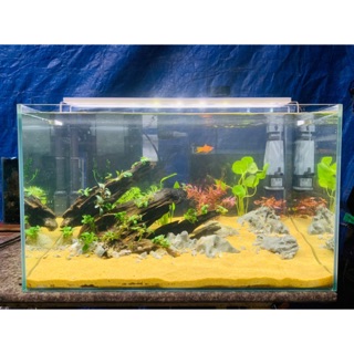 (Có Video) Đèn Led 3 chế độ XuanMeiLong thuỷ sinh 20-30-40-50-60cm