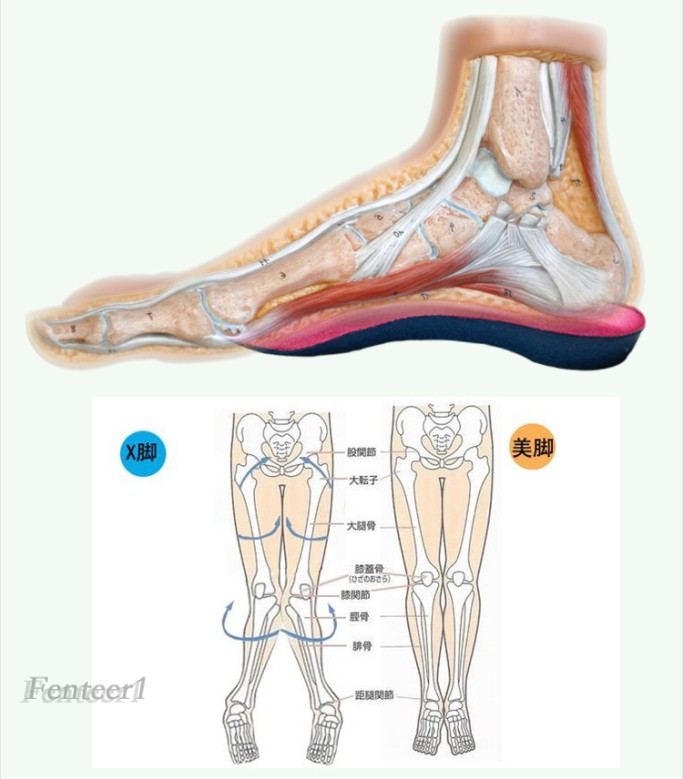 Đế lót trong giày chỉnh hình 3/4 giảm đau gót chân hỗ trợ bàn chân bẹt và đau bàn chân
