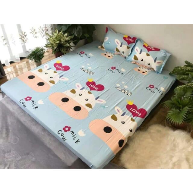 Set ga + 2 vỏ gối Poly hàng Vn