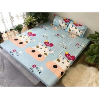 Set ga + 2 vỏ gối poly hàng vn