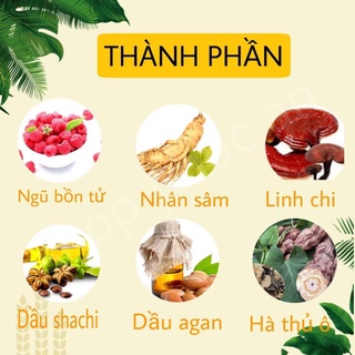 Dầu gội Phủ Bạc Sin Nâu và Sin Đen
