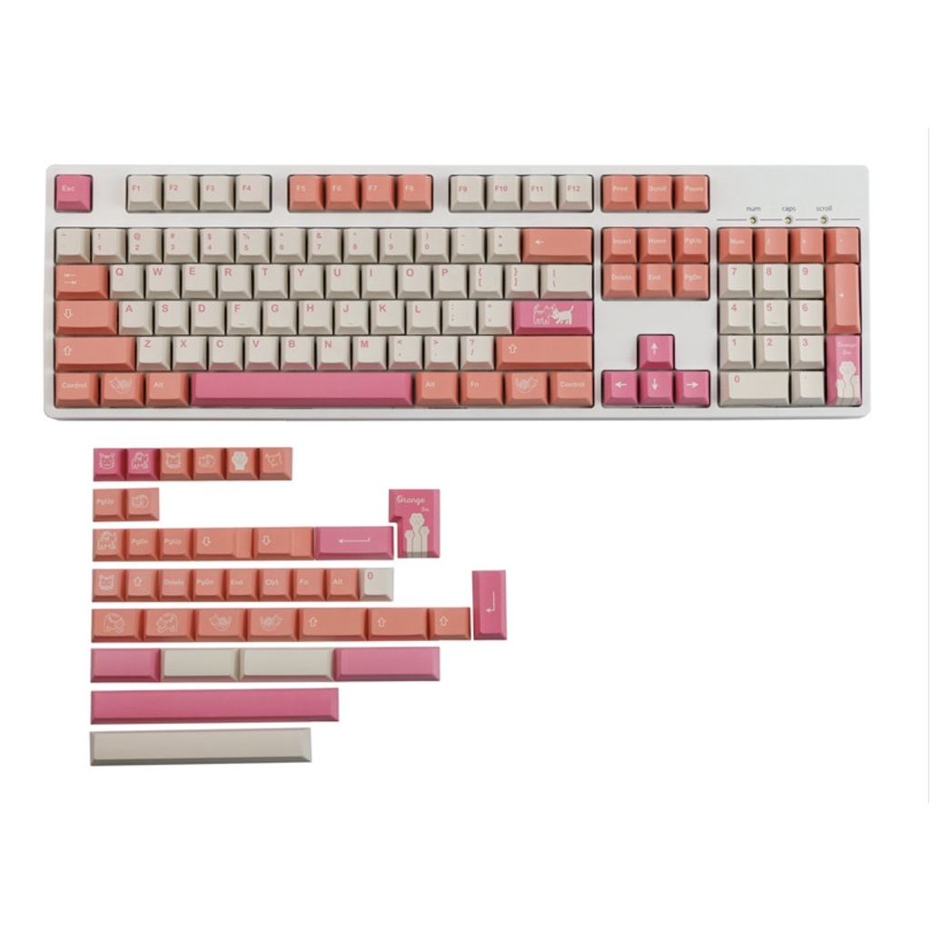 Set Keycap PBT Orange Boi 146 Phím
