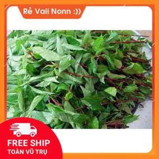FLASH SALE rau đay chất lượng