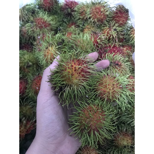 Chôm Chôm Thái Siêu Tươi Ngon Giao Tận Nơi