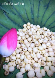 HẠT SEN TƯƠI - 500 Gram