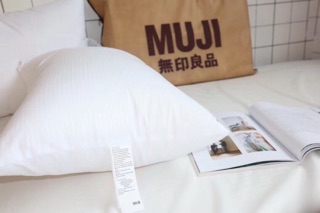 Ruột gối muji xuất nhật