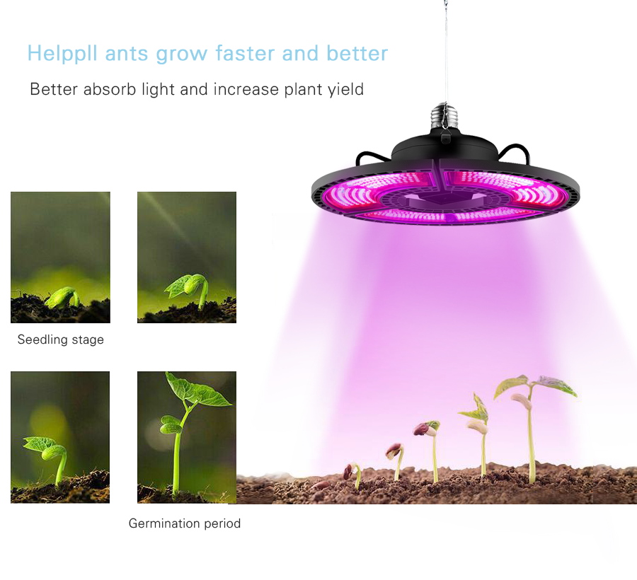 Đèn LED phát triển quang phổ đầy đủ 400W Phytolamp cho thực vật E27 / E26 Đèn tăng trưởng ánh sáng lấp đầy mọng nước cho cây trồng trong nhà