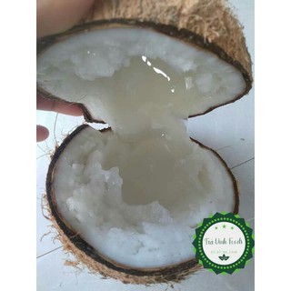 Dừa sáp bi cầu kè đặc ruột