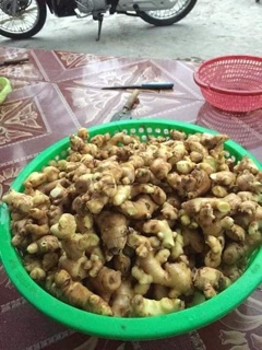 BỘT GỪNG SẺ 200gr