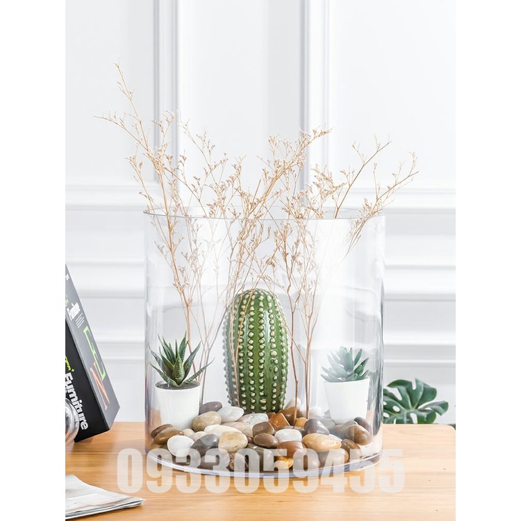 Bình bông lọ hoa thủy tinh trụ tròn, chậu cây thủy sinh, bể cá mini