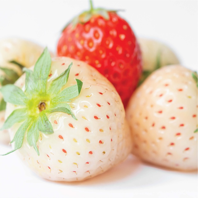 Sữa tắm Olay Body wash Strawberry & Mint 650ml | BigBuy360 - bigbuy360.vn