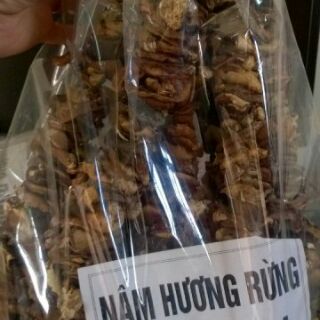 Nấm hương rừng