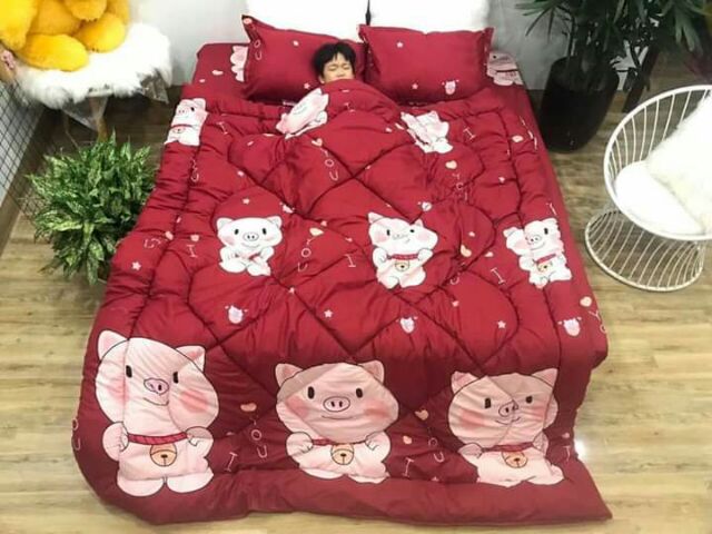 Set chăn phao cotton đẹp