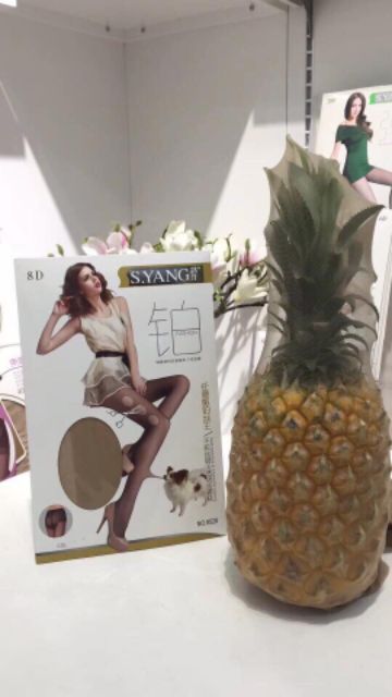 Quần tất 8d chó cắn, mèo cào không rách