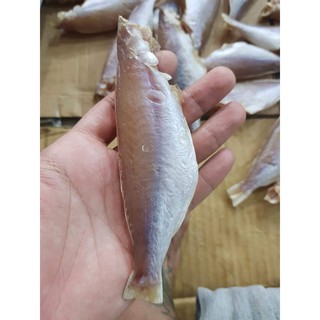 1Kg Khô Cá Đổng 1 Nắng