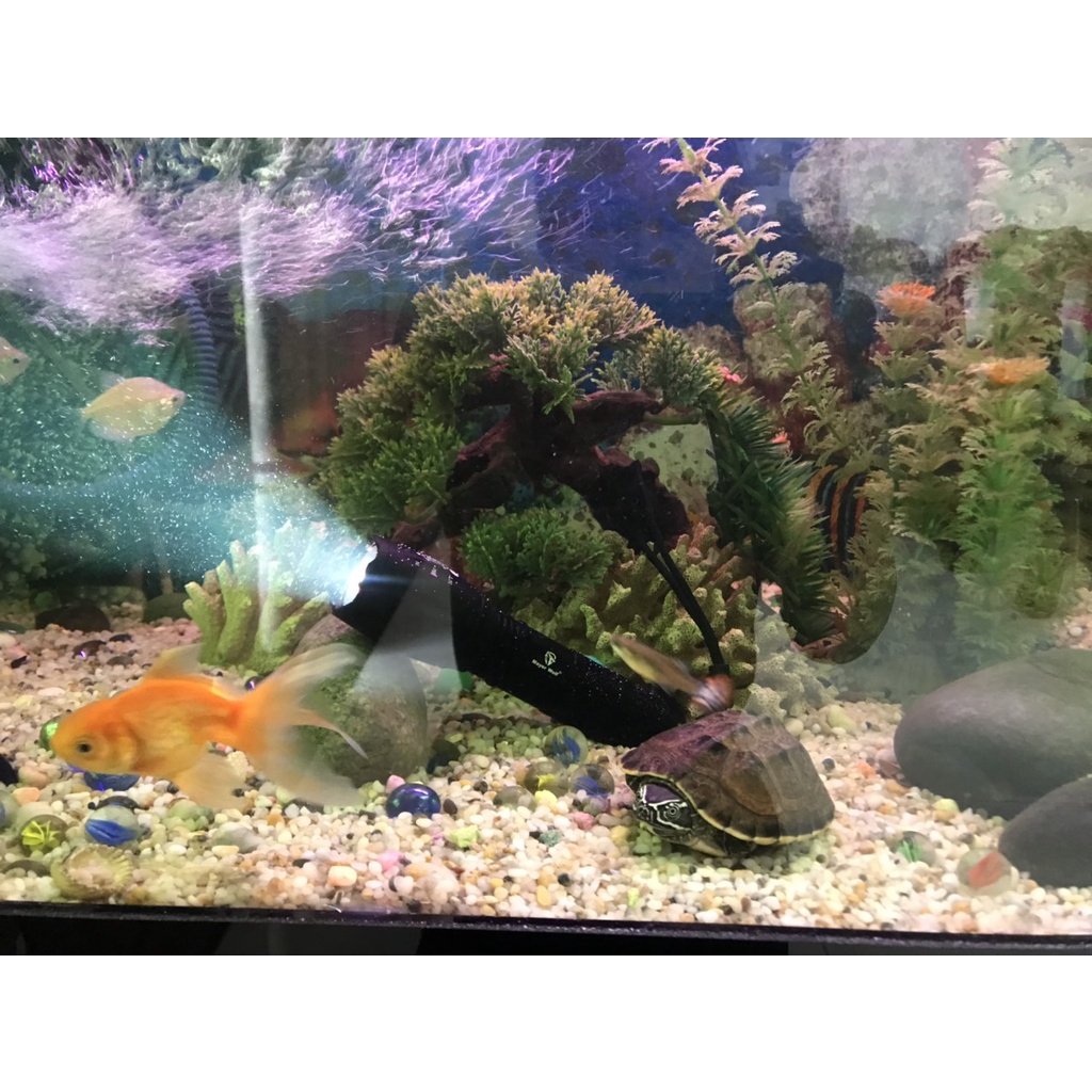 Đèn pin siêu sáng S016 - Tặng kèm cốc sạc pin tiểu | BigBuy360 - bigbuy360.vn