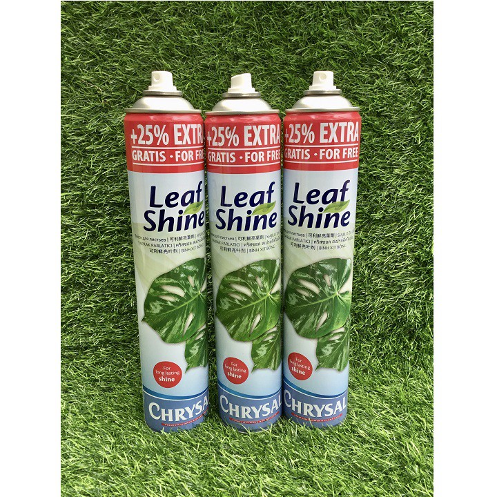 Chai Leaf Shine xịt bóng lá cho Lan và cây cảnh 750ml