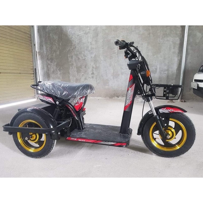 Xe ba bánh cho người già và khuyết tật.