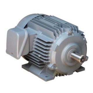 Động cơ điện 3 pha 12hp