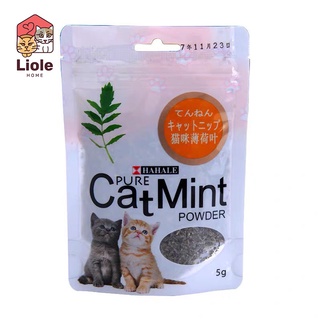 Cỏ Catnip Cho Mèo Thư Giãn