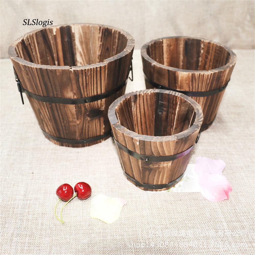 Chậu trồng cây mọng nước bằng gỗ độc đáo