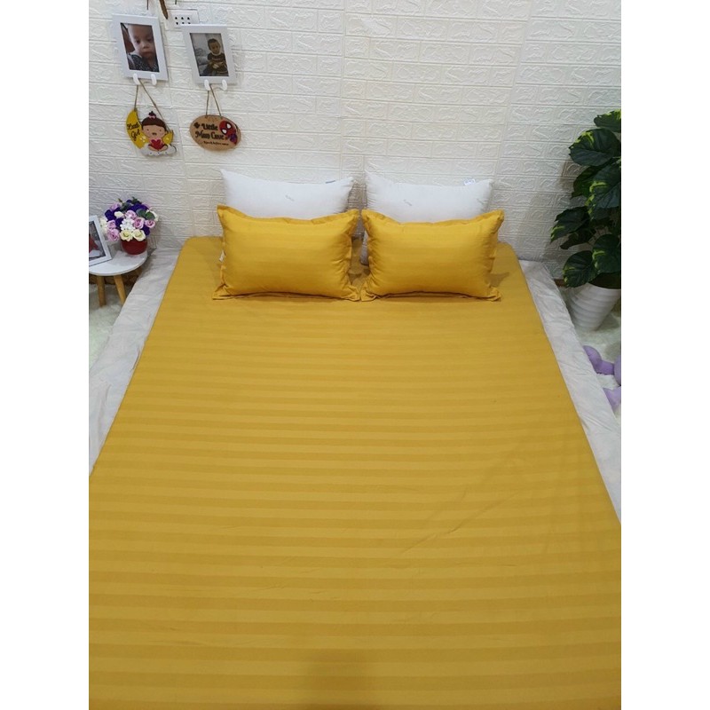 Sét chăn ga gối 5 món cotton poly kẻ 3F đơn giản, sang trọng.
