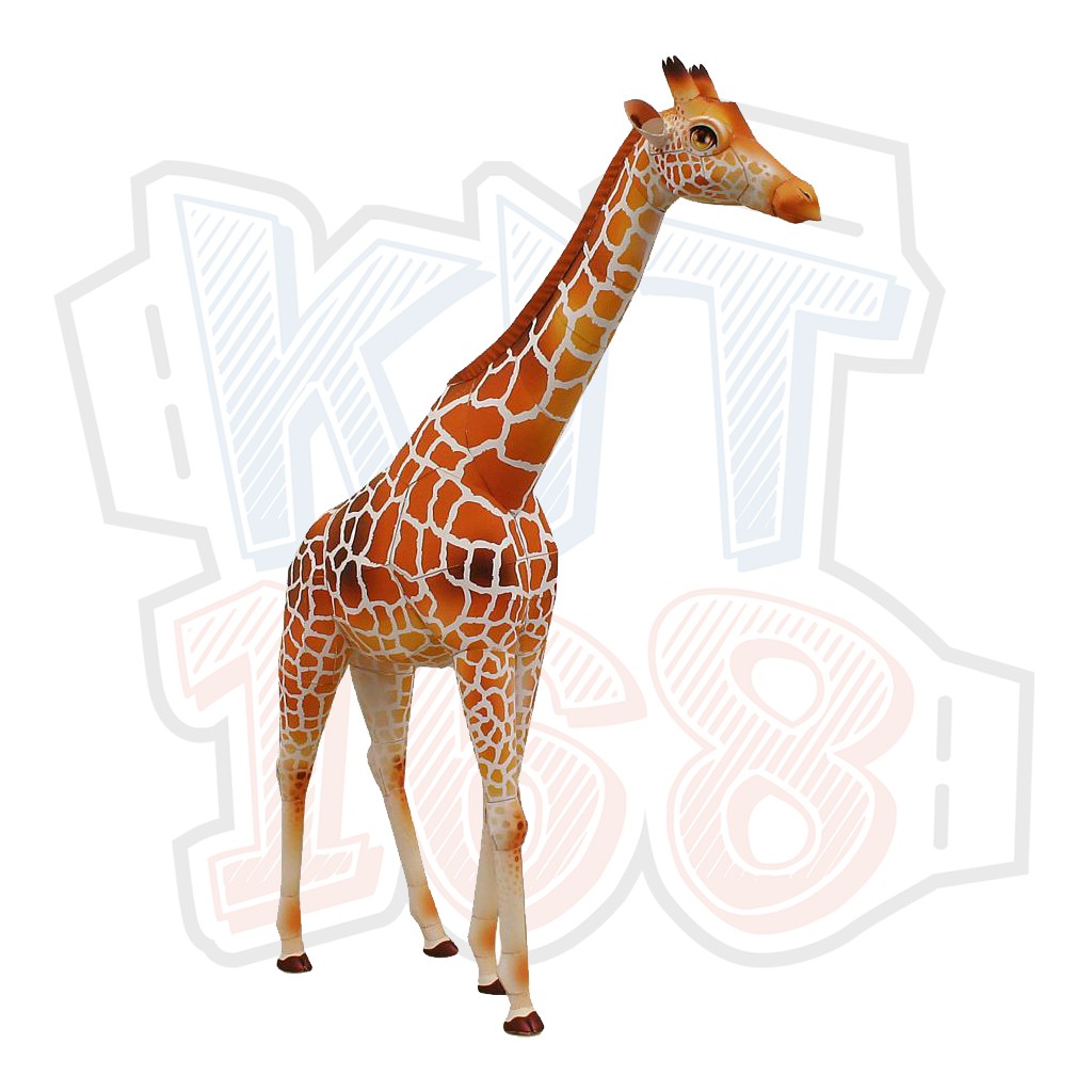 Mô hình giấy động vật Giraffe - Hươu cao cổ