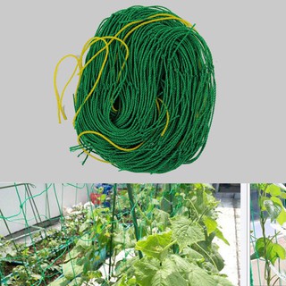 1 Lưới Nylon Hỗ Trợ Cây Trồng Dây Leo 4 Kích Cỡ