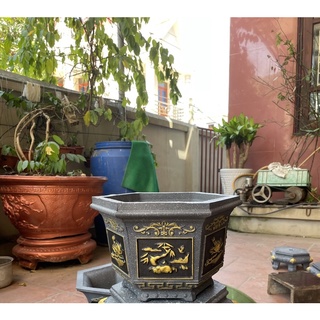 Khuôn chậu lục giác 25 riêng chậu.