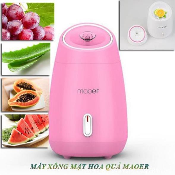 Máy Xông Mặt Hoa Quả Công Nghệ Nano Cao Cấp Máy Xông Hơi Mặt Mini Hoa Quả Thảo Dược Phun Sương