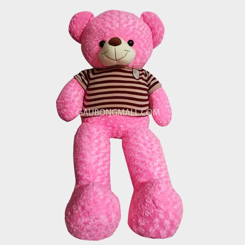 Gấu teddy 1m6 (cao 1m4) Cao cấp lông xoắn áo len[Ảnh Shop Chụp]