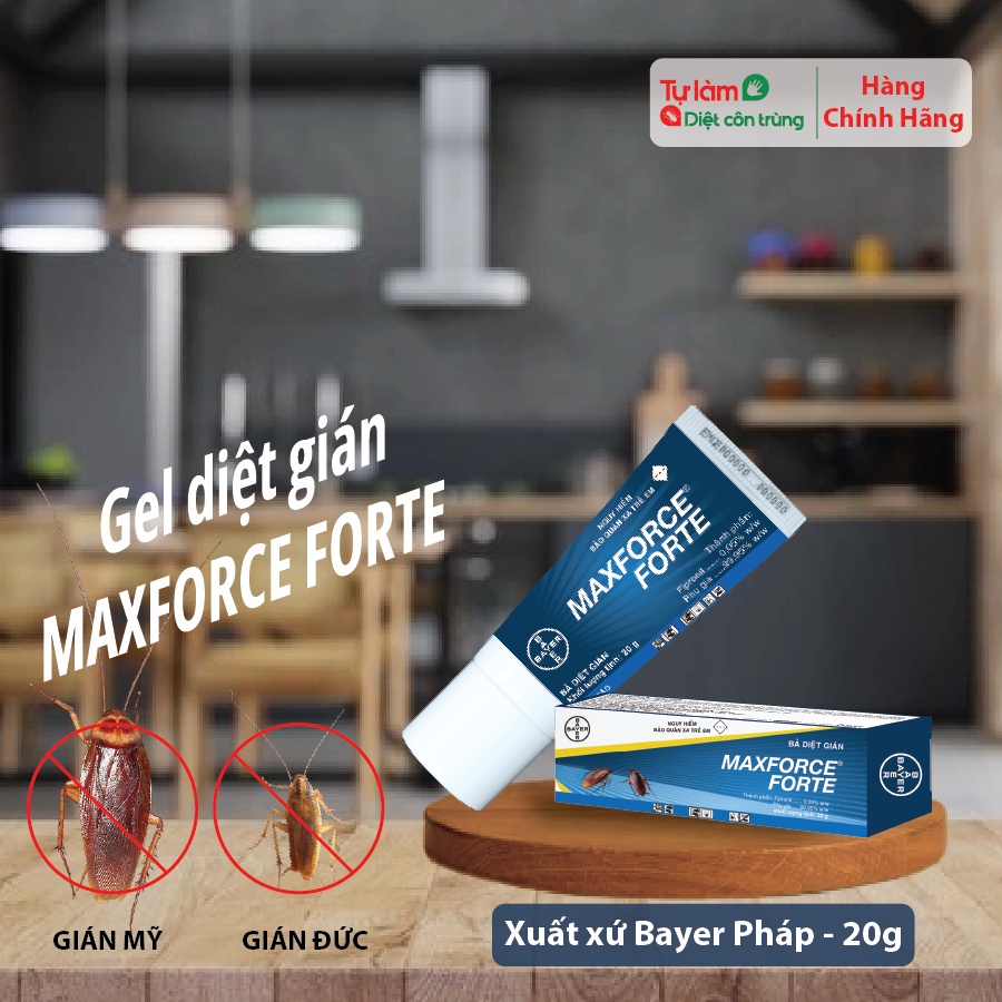Thuốc Diệt Gián Đức và Gián Mỹ MAXFORCE FORTE Dạng Bả Gel Dùng Ngay Tiện Lợi Tuýp 20g