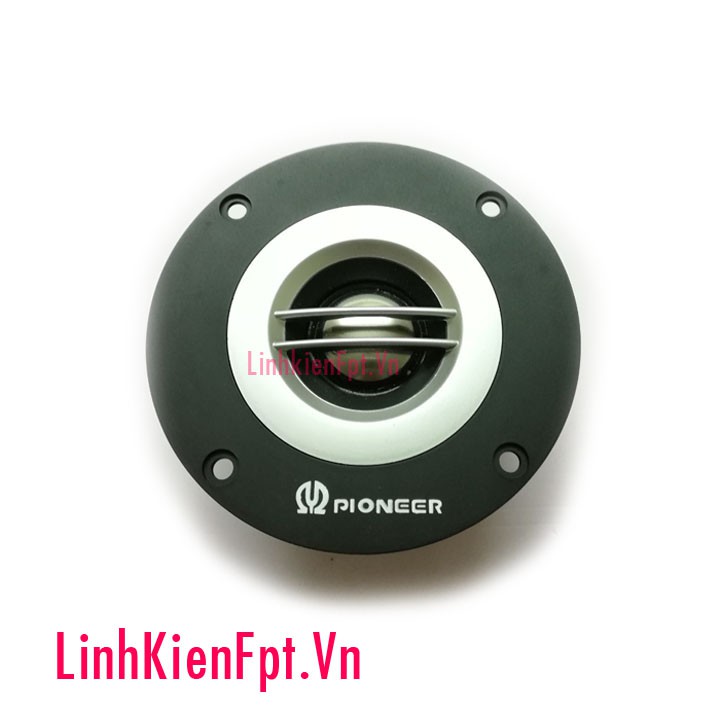 Loa treble Pioneer r2-w30f 10cm loa Tweeter
