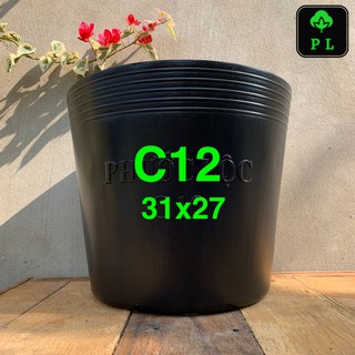 Combo 50 chậu nhựa đen C12 (31x27cm) hiệu Phước Lộc