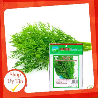 - Hạt Giống Thì Là Phú Nông chất lượng.
