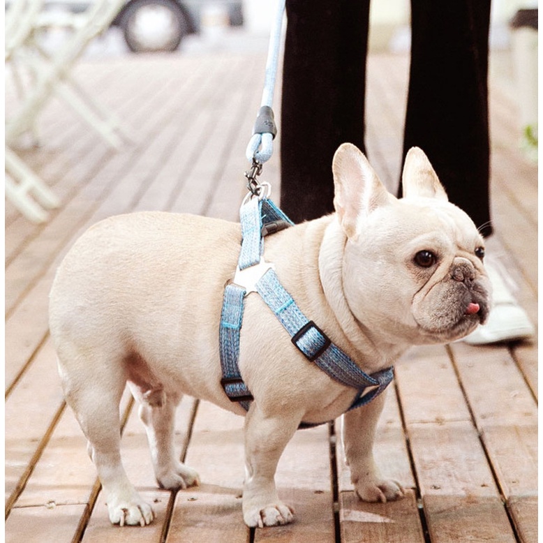 Hipidog Set Xích yếm & Dây dắt với tay cầm lót cao su mềm cao cấp cho chó / cún