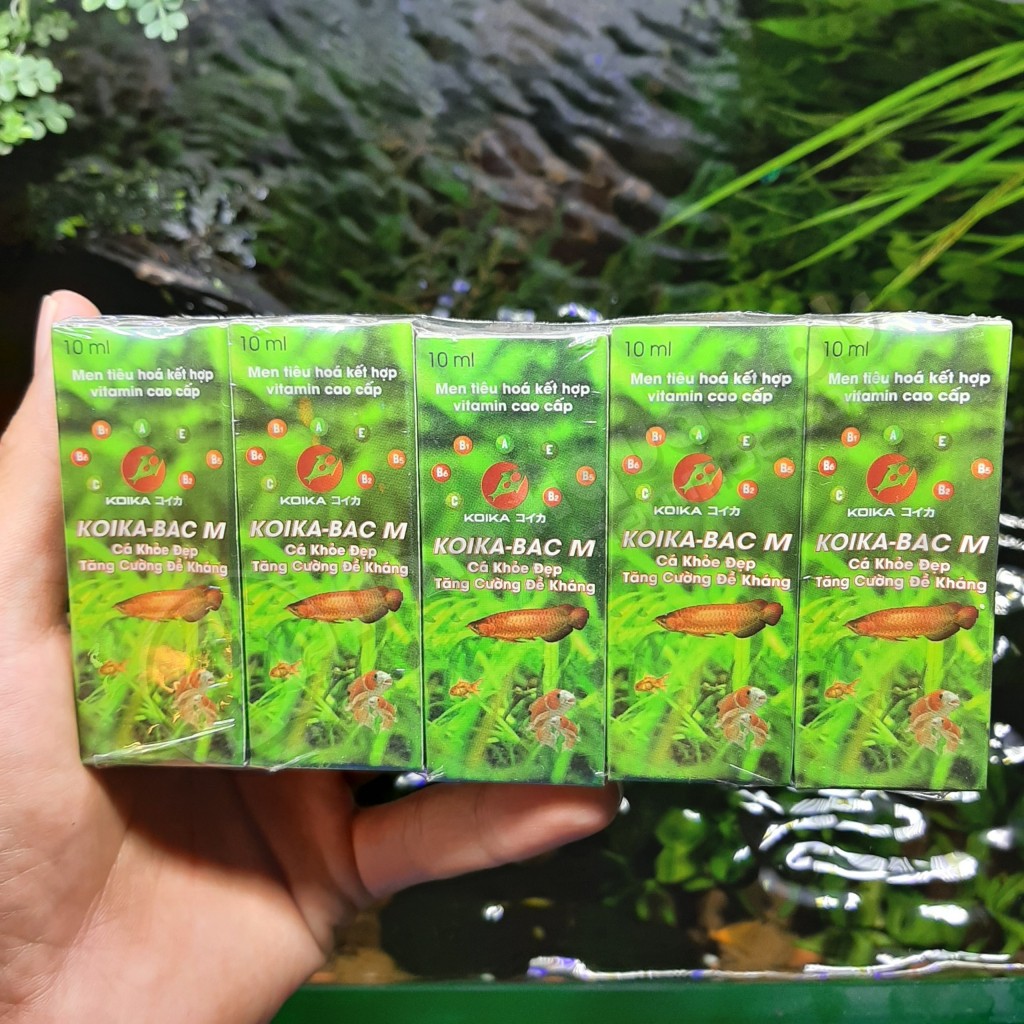 Koika BAC M | Vi sinh đường ruột kết hợp vitamin cao cấp cho cá tép cảnh