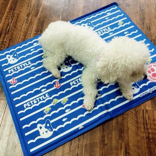 🔆🐶🐱ĐỆM NƯỚC CHO THÚ CƯNG - XUA TAN NỔI LO OI BỨC NGÀY NẮNG NÓNG🌸🤗