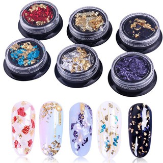 Giấy bạc màu ( set 6 hủ ) trang trí nail