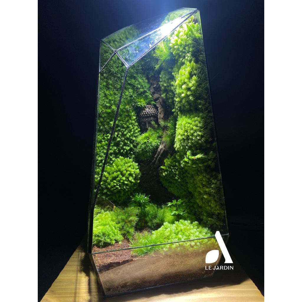 Glue Soil  -  đất kết dính tạo tường rêu, bán cạn, đất làm tường rêu, làm tường rêu terrarium